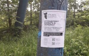 Как добровольно сдаться в плен через проект, указано в Telegram "Хочу жить"