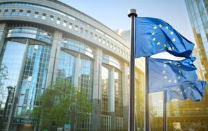 По мнению Европарламента, Украине необходимо сохранить достижения реформы децентрализации, включая независимость и ответственность местного самоуправления