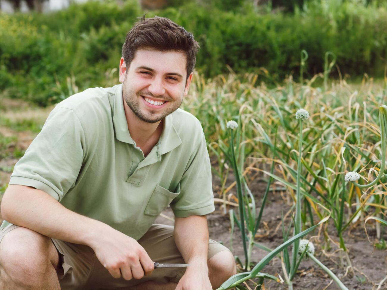 Стрелки на чесноке необходимо удалять
