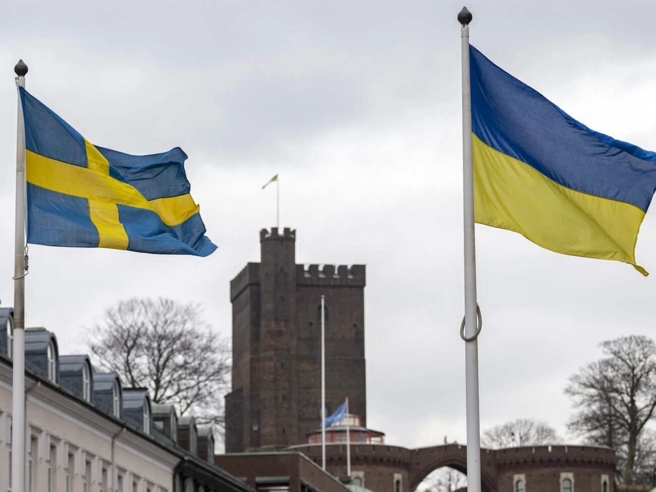 Шведы будут обучать украинцев и поставлять комплектующие