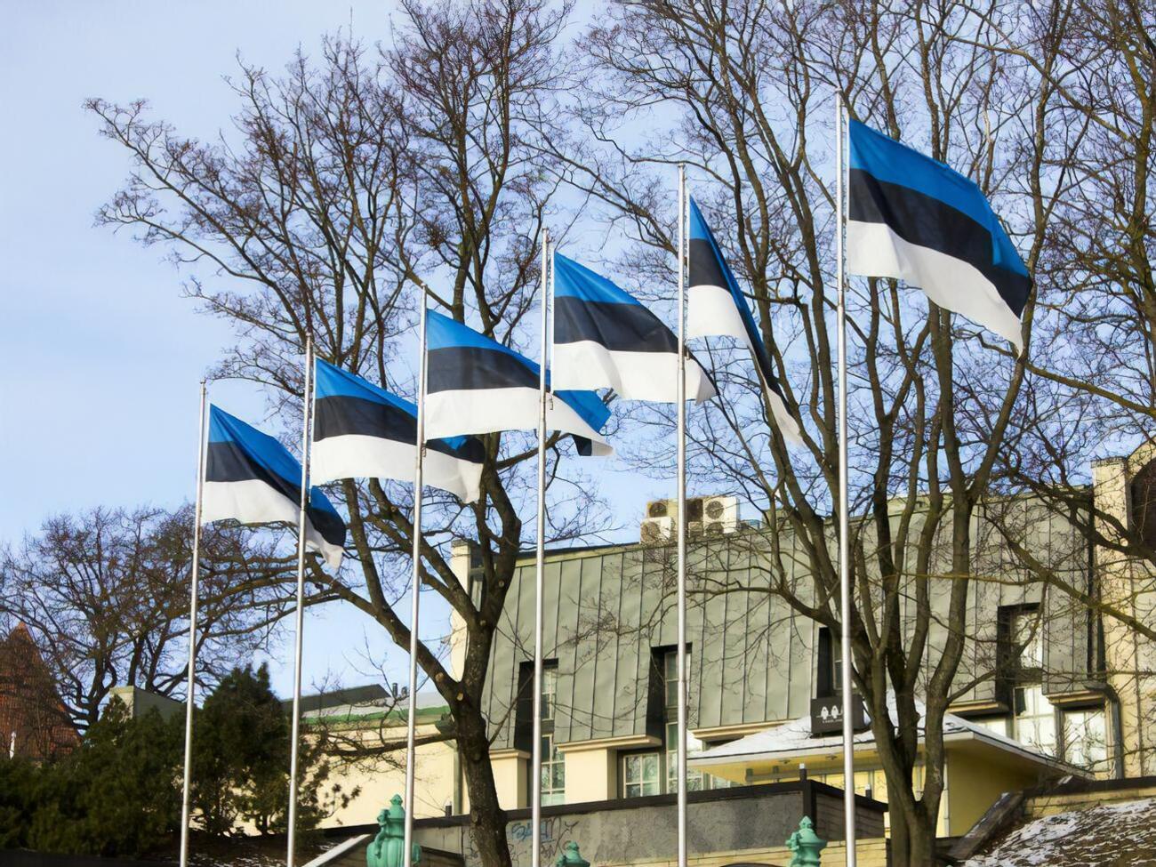 МИД Эстонии в ближайшее время внесет предложение о поправках в закон для передачи средств Украине