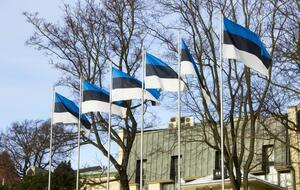 МИД Эстонии в ближайшее время внесет предложение о поправках в закон для передачи средств Украине