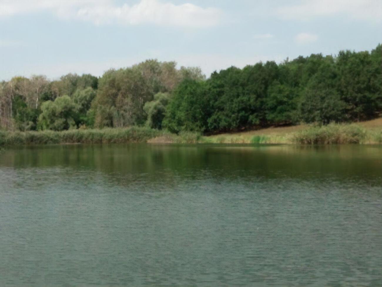 Ребенка пытались спасти, но не успели