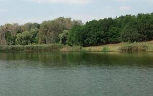 Ребенка пытались спасти, но не успели