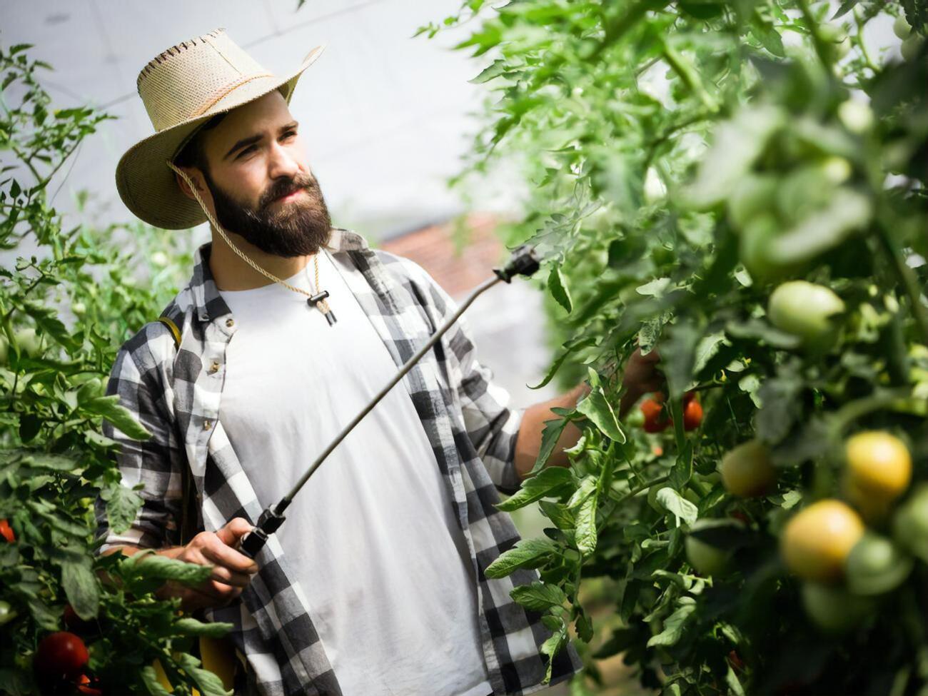 Важно не переусердствовать с применением соды