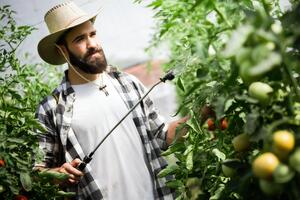Важно не переусердствовать с применением соды