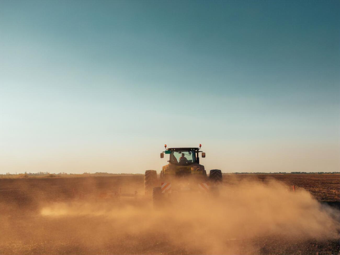 План по зерновым перевыполнили: площади под яровыми зерновыми и зернобобовыми уже на 3% выше спрогнозированных в марте