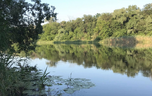 Трагедия случилась на берегу реки Северский Донец в Сидорово, отметил начальник Славянской ГВА