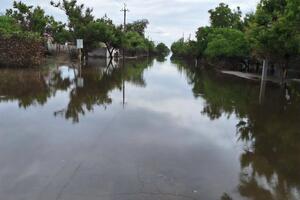 Окупанти провалили евакуацію на лівобережжі Херсонської області, зазначили в ОВА