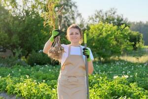 Чеснок будет хорошо храниться при правильной обработке