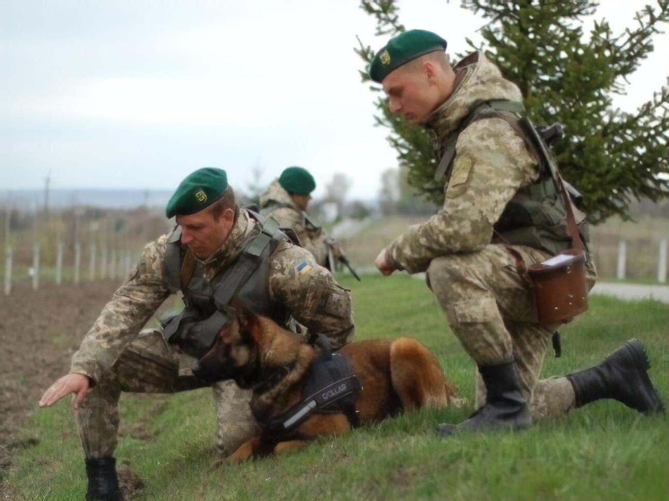 Украинские пограничники не интересуются предложениями "дружбы", звучащими с белорусской стороны границы