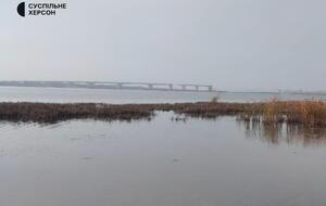 Росіяни спробували вдарити по Антонівському мосту, щоб помститися "за Чонгар", розповіла Гуменюк