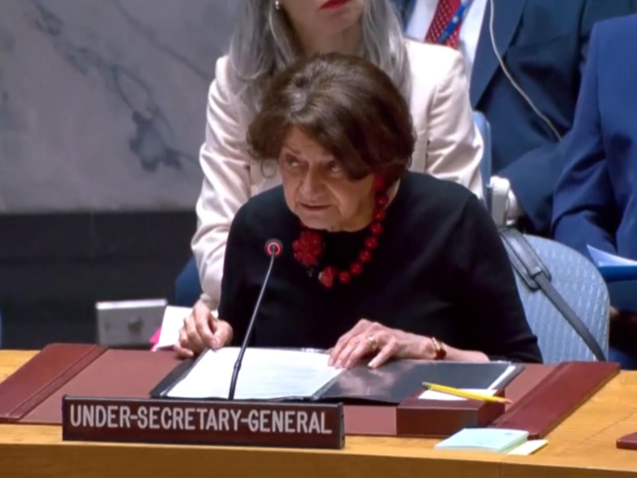 Дикарло: Любая угроза ЗАЭС неприемлема