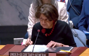 Дикарло: Любая угроза ЗАЭС неприемлема