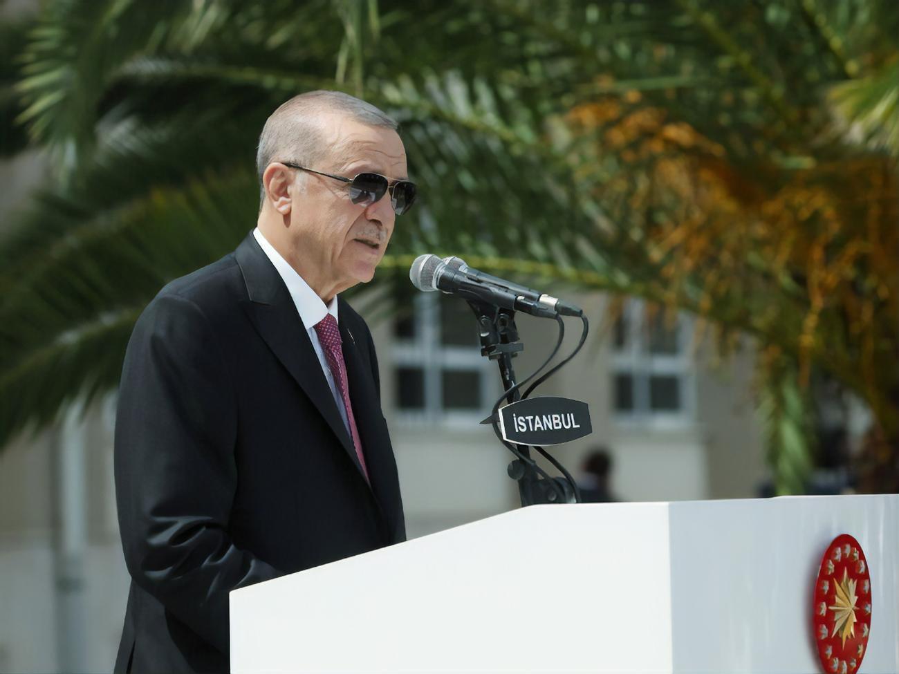 Эрдоган сказал Путину о необходимости&nbsp;действовать, "руководствуясь здравым смыслом"