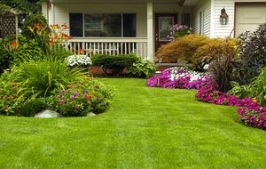 Доглядати за газоном потрібно цілий рік