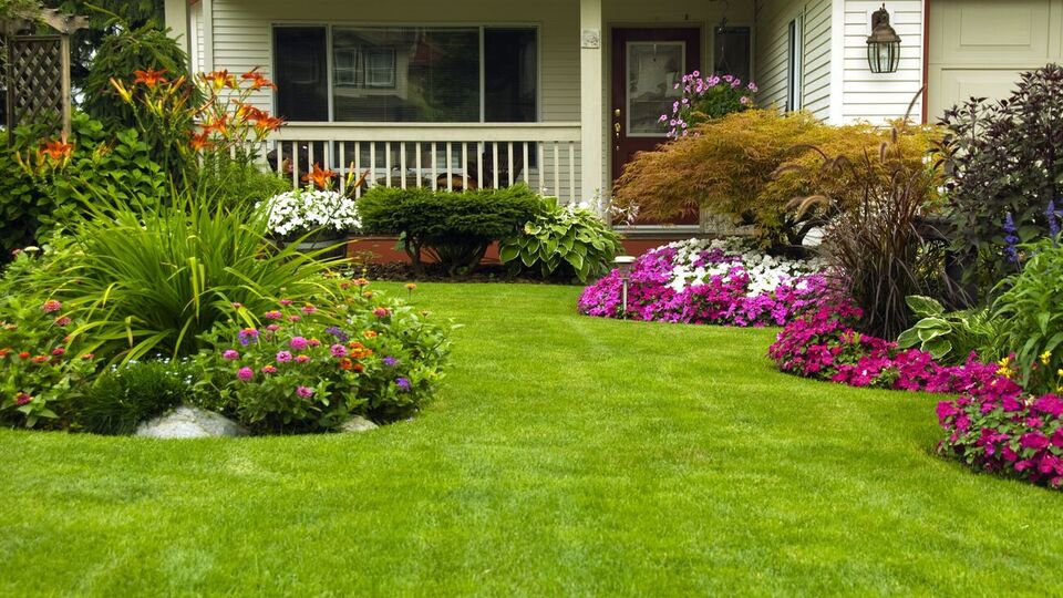 Доглядати за газоном потрібно цілий рік