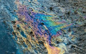 Источник загрязнения еще не установлен