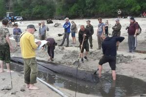 Човен дістали з піску і частинами перемістили до реставраційного ангара