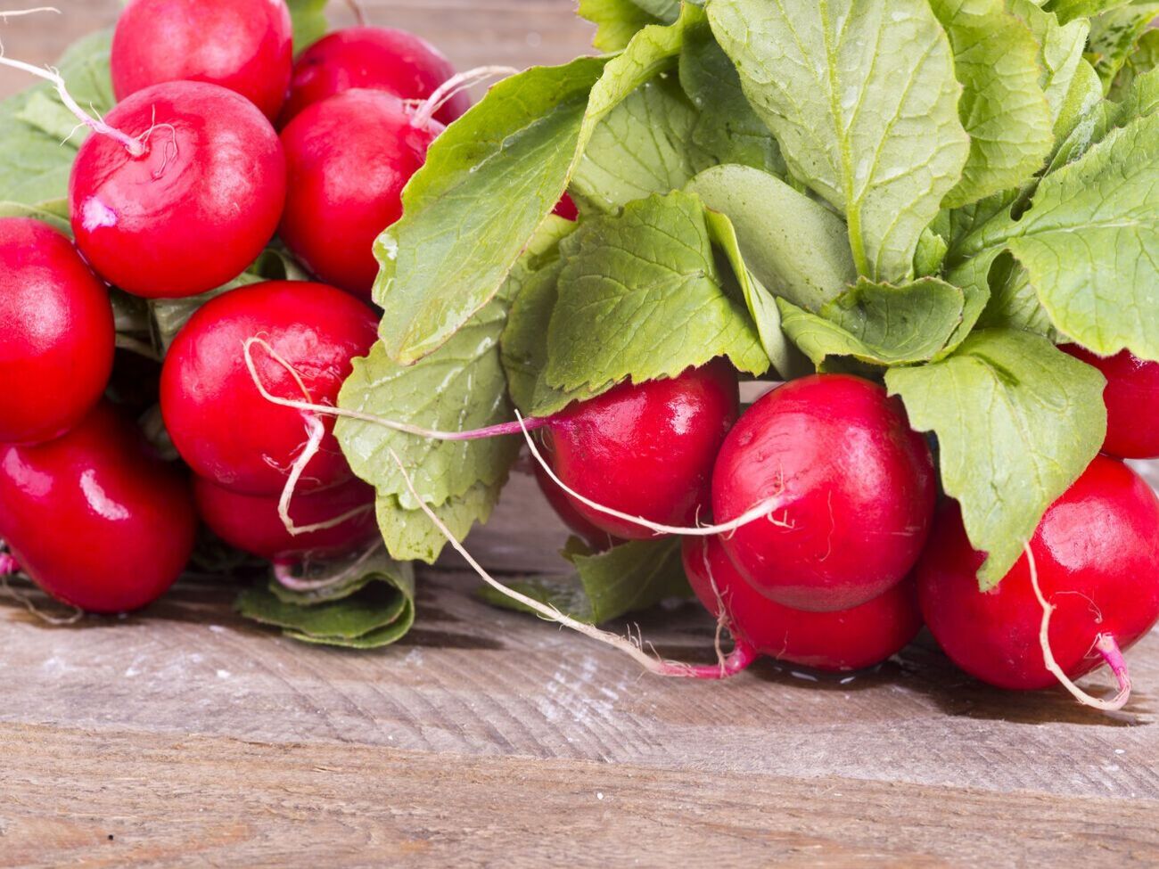 По словам эксперта, мало кто знает, что ботва редиса не хуже корнеплодов по составляющим, а по вкусу – как листья салата