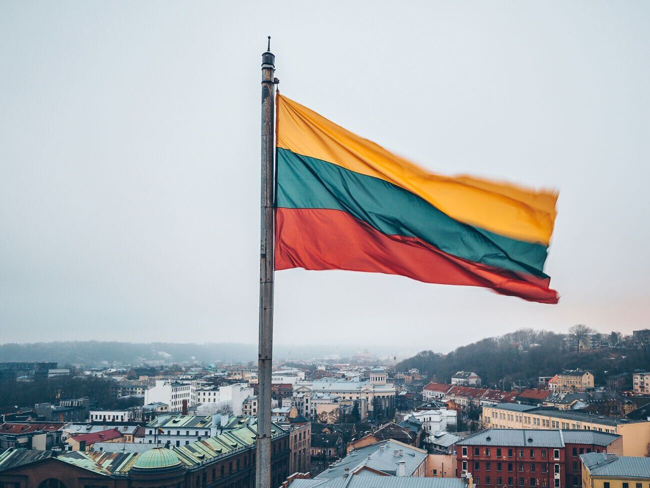 Литва помогает Украине оружием в борьбе против российских оккупантов