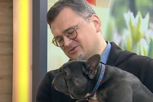 Французского бульдога по кличке Марик Кулеба в мае 2022 года приютил после того, как его эвакуировали из Мариуполя