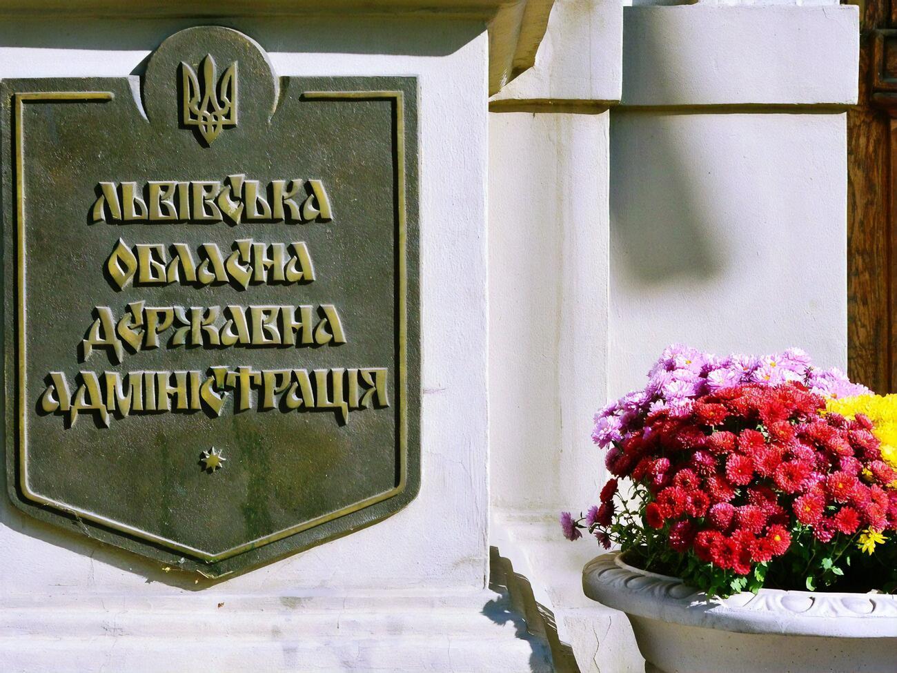 Журналисты посвятили расследование работе Шевчука в ЛОВА