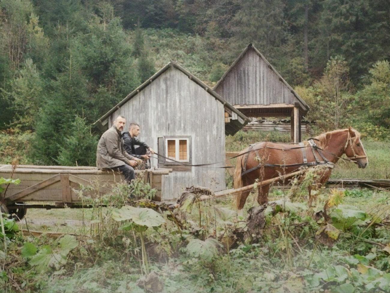 Мировая премьера фильма "Памфир" состоялась в 2022 году на Каннском кинофестивале