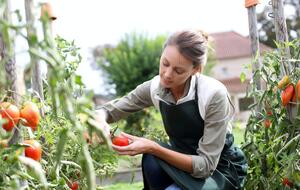 Пасинкування є обов'язковою процедурою