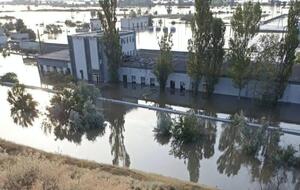 Единственный в Украине государственный осетровый завод расположен в селе Днепровское Херсонской области, сообщили в Минагрополитики