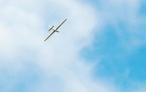 Губернатор не показал фото якобы упавшего беспилотника