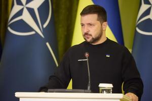 Зеленський: Більшість Альянсу – чітко за нас