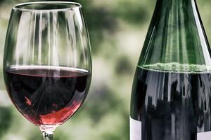 Украинцы стали больше пить вина, отметил Сольский