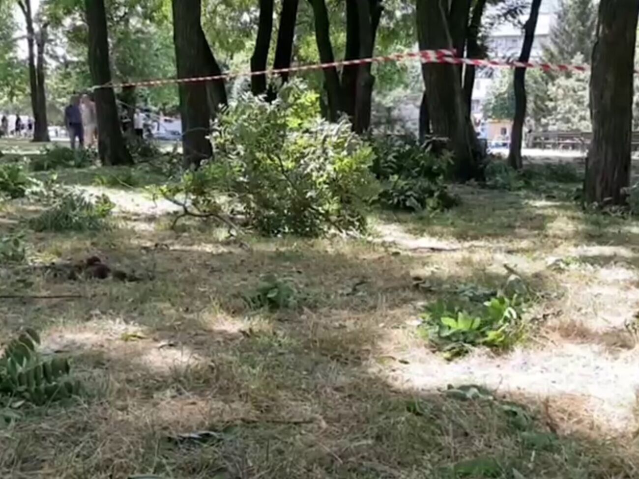 Во время взрыва в парке Запорожья пострадали люди, отметили в мерии