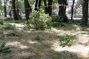 Во время взрыва в парке Запорожья пострадали люди, отметили в мерии
