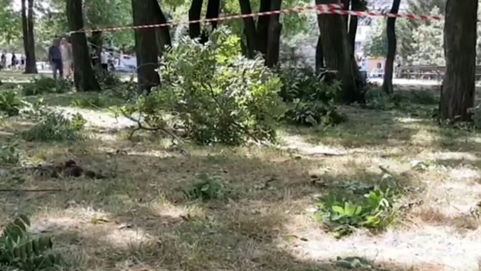 Під час вибуху в парку Запоріжжя постраждали люди, зазначили в мерії