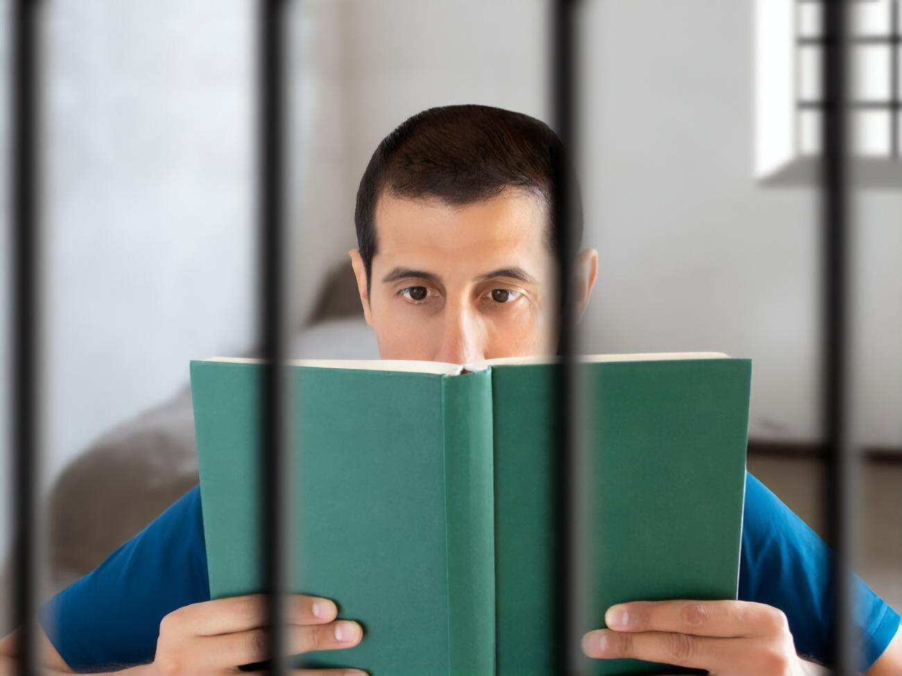 Законопроект предлагает отнимать по трое суток заключения за каждую прочитанную книгу