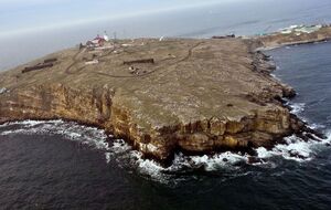 Оккупанты обстреляли Змеиный