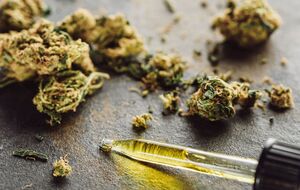 Использование каннабиса или препаратов на его основе в медицинских целях разрешено в 56 странах