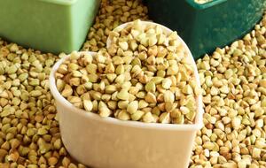 Зелена гречка є корисним продуктом