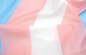 Зміна статі одного з подружжя у РФ тепер призведе до розірвання шлюбу