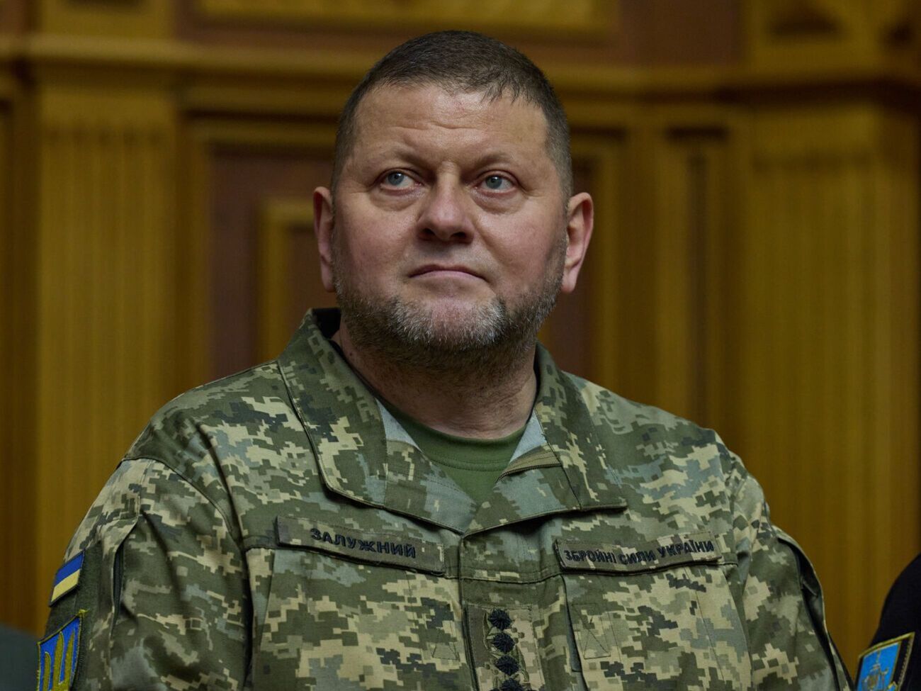 Победа Украины – это не только восстановление ее территориальной целостности, отметил Залужный