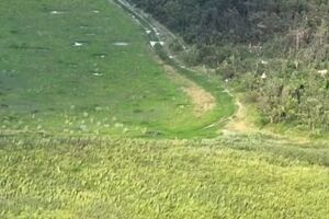 Украинские военные с начала полномасштабного нападения РФ ликвидировали около 237 680 оккупантов, отметили в Генштабе ВСУ утром 16 июля