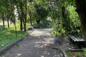 В результате российской атаки по Белополью погибли две женщины, отметили в мэрии