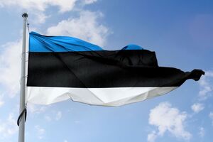 Эстония планирует закупить реактивные системы залпового огня HIMARS и ракетный комплекс ПВО средней дальности