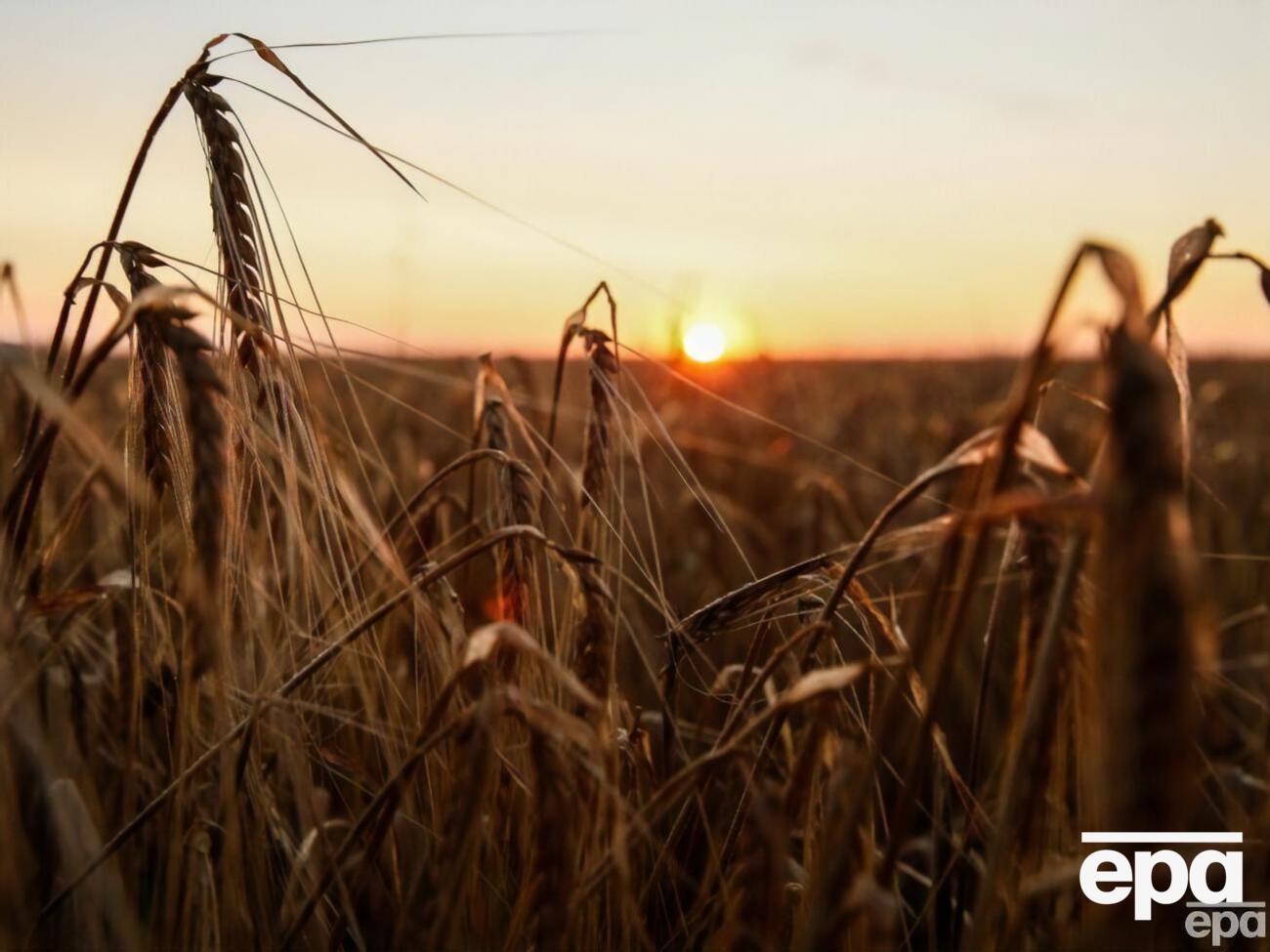 С начала действия "зернового соглашения" было экспортировано более 33 млн т продукции украинских аграриев