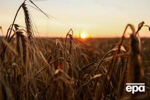 С начала действия "зернового соглашения" было экспортировано более 33 млн т продукции украинских аграриев