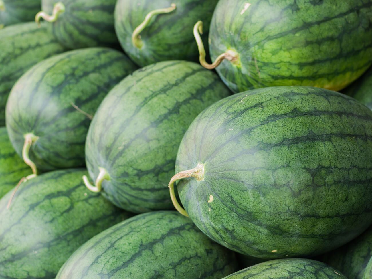 Арбузы лучше покупать в магазинах или на крытых рынках