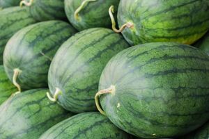 Арбузы лучше покупать в магазинах или на крытых рынках