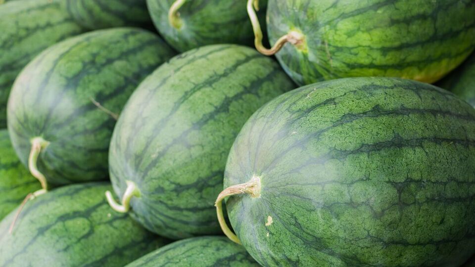 Арбузы лучше покупать в магазинах или на крытых рынках